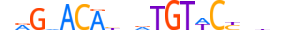 GCR.H13CORE.0.PS.A motif logo (NR3C1 gene, GCR_HUMAN protein)