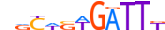 GFI1B.H13CORE.0.PSM.A motif logo (GFI1B gene, GFI1B_HUMAN protein)