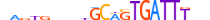 GFI1B.H13CORE.1.S.C motif logo (GFI1B gene, GFI1B_HUMAN protein)