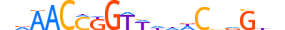 GRHL1.H13CORE.0.PSM.A motif logo (GRHL1 gene, GRHL1_HUMAN protein)