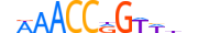 GRHL1.H13CORE.1.PS.A motif logo (GRHL1 gene, GRHL1_HUMAN protein)