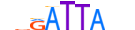 GSC2.H13CORE.0.SM.B motif logo (GSC2 gene, GSC2_HUMAN protein)