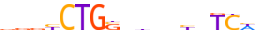 HAND1.H13CORE.0.P.B motif logo (HAND1 gene, HAND1_HUMAN protein)