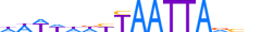 HESX1.H13CORE.1.S.B motif logo (HESX1 gene, HESX1_HUMAN protein)