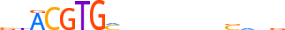 HIF1A.H13CORE.1.P.B motif logo (HIF1A gene, HIF1A_HUMAN protein)