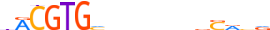 HIF3A.H13CORE.0.P.C motif logo (HIF3A gene, HIF3A_HUMAN protein)