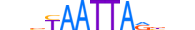 HME1.H13CORE.0.PSM.A motif logo (EN1 gene, HME1_HUMAN protein)