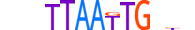 HMX3.H13CORE.0.S.B motif logo (HMX3 gene, HMX3_HUMAN protein)