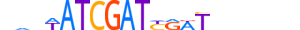 HNF6.H13CORE.2.S.B motif logo (ONECUT1 gene, HNF6_HUMAN protein)