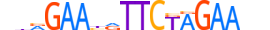 HSF1.H13CORE.0.PSM.A motif logo (HSF1 gene, HSF1_HUMAN protein)