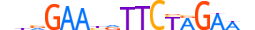 HSF2.H13CORE.0.PSM.A motif logo (HSF2 gene, HSF2_HUMAN protein)