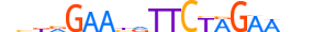 HSF4.H13CORE.0.SM.B motif logo (HSF4 gene, HSF4_HUMAN protein)