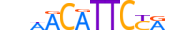 HSF5.H13CORE.0.M.C motif logo (HSF5 gene, HSF5_HUMAN protein)