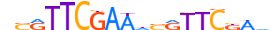 HSFY1.H13CORE.1.S.B motif logo (HSFY1 gene, HSFY1_HUMAN protein)