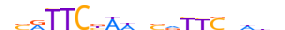 HSFY1.H13CORE.2.M.B motif logo (HSFY1 gene, HSFY1_HUMAN protein)