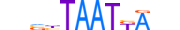 HXA1.H13CORE.0.SM.B motif logo (HOXA1 gene, HXA1_HUMAN protein)