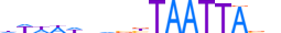 HXA1.H13CORE.1.S.B motif logo (HOXA1 gene, HXA1_HUMAN protein)