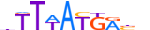 HXA10.H13CORE.0.S.B motif logo (HOXA10 gene, HXA10_HUMAN protein)