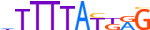 HXA13.H13CORE.0.P.B motif logo (HOXA13 gene, HXA13_HUMAN protein)