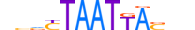 HXA2.H13CORE.0.SM.B motif logo (HOXA2 gene, HXA2_HUMAN protein)