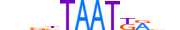 HXA5.H13CORE.0.SM.B motif logo (HOXA5 gene, HXA5_HUMAN protein)