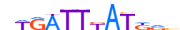 HXA9.H13CORE.0.P.B motif logo (HOXA9 gene, HXA9_HUMAN protein)