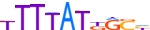 HXA9.H13CORE.2.P.B motif logo (HOXA9 gene, HXA9_HUMAN protein)