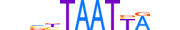 HXB1.H13CORE.0.SM.B motif logo (HOXB1 gene, HXB1_HUMAN protein)