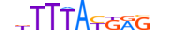 HXB13.H13CORE.0.PS.A motif logo (HOXB13 gene, HXB13_HUMAN protein)