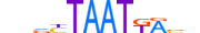 HXB2.H13CORE.0.SM.B motif logo (HOXB2 gene, HXB2_HUMAN protein)