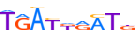 HXB4.H13CORE.0.P.B motif logo (HOXB4 gene, HXB4_HUMAN protein)