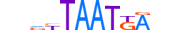 HXB4.H13CORE.1.PSM.A motif logo (HOXB4 gene, HXB4_HUMAN protein)