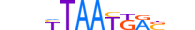 HXB6.H13CORE.0.SM.B motif logo (HOXB6 gene, HXB6_HUMAN protein)