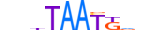 HXB7.H13CORE.1.SM.B motif logo (HOXB7 gene, HXB7_HUMAN protein)