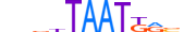 HXB8.H13CORE.0.PSM.A motif logo (HOXB8 gene, HXB8_HUMAN protein)