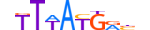 HXB9.H13CORE.0.S.C motif logo (HOXB9 gene, HXB9_HUMAN protein)