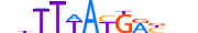 HXC9.H13CORE.1.S.C motif logo (HOXC9 gene, HXC9_HUMAN protein)