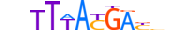 HXD10.H13CORE.0.SM.B motif logo (HOXD10 gene, HXD10_HUMAN protein)