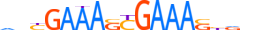 IRF2.H13CORE.0.PSM.A motif logo (IRF2 gene, IRF2_HUMAN protein)