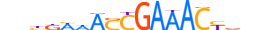 IRF5.H13CORE.0.SM.B motif logo (IRF5 gene, IRF5_HUMAN protein)