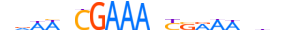 IRF7.H13CORE.1.SM.B motif logo (IRF7 gene, IRF7_HUMAN protein)