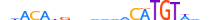 IRX3.H13CORE.2.S.C motif logo (IRX3 gene, IRX3_HUMAN protein)