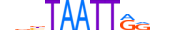 ISX.H13CORE.0.SM.B motif logo (ISX gene, ISX_HUMAN protein)