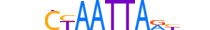 LBX2.H13CORE.0.S.B motif logo (LBX2 gene, LBX2_HUMAN protein)