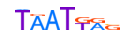 LHX2.H13CORE.0.PS.A motif logo (LHX2 gene, LHX2_HUMAN protein)