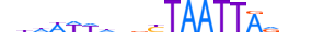 LHX2.H13CORE.1.S.C motif logo (LHX2 gene, LHX2_HUMAN protein)