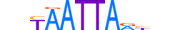 LHX4.H13CORE.0.SM.B motif logo (LHX4 gene, LHX4_HUMAN protein)