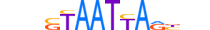 LHX6.H13CORE.1.S.B motif logo (LHX6 gene, LHX6_HUMAN protein)