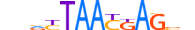 LHX6.H13CORE.2.M.C motif logo (LHX6 gene, LHX6_HUMAN protein)