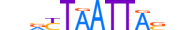 LHX8.H13CORE.0.S.B motif logo (LHX8 gene, LHX8_HUMAN protein)